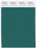 Pantone Smart 18-5725 TCX Color Swatch Card | Galapagos Green