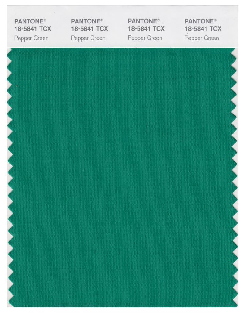 Pantone Smart 18-5841 TCX Color Swatch Card | Pepper Green