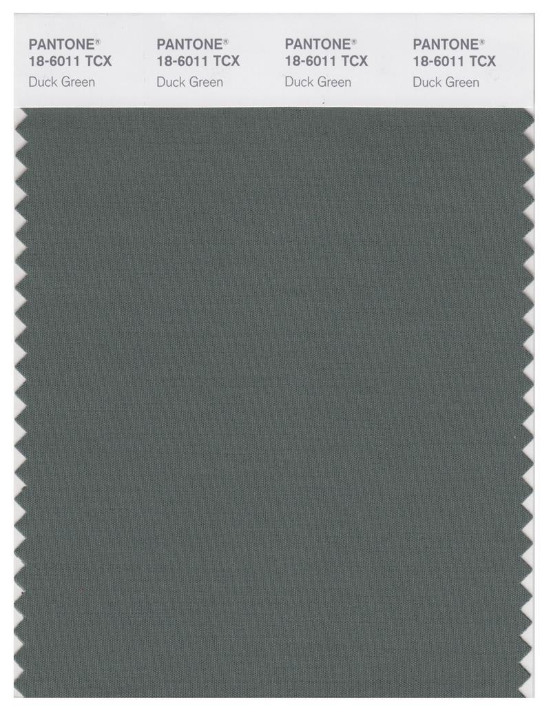 Pantone Smart 18-6011 TCX Color Swatch Card | Duck Green