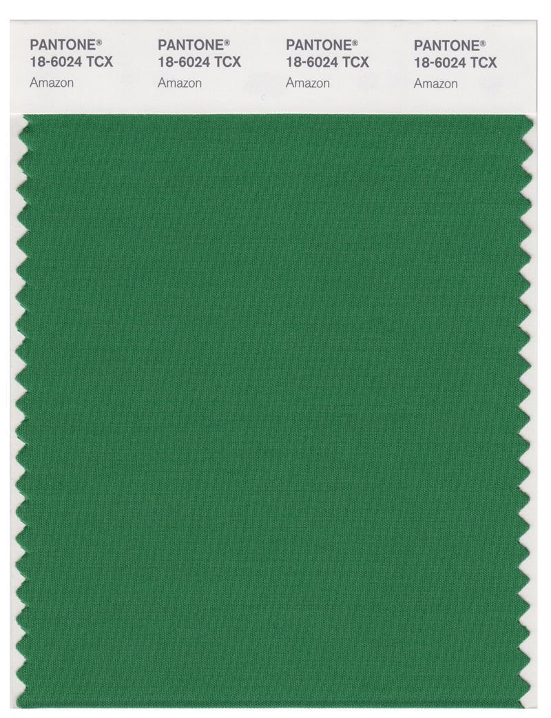 Pantone Smart 18-6024 TCX Color Swatch Card | Amazon | Magazine
