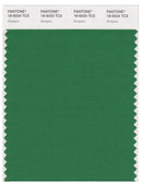 Pantone Smart 18-6024 TCX Color Swatch Card | Amazon