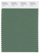 Pantone Smart 18-6216 TCX Color Swatch Card | Comfrey