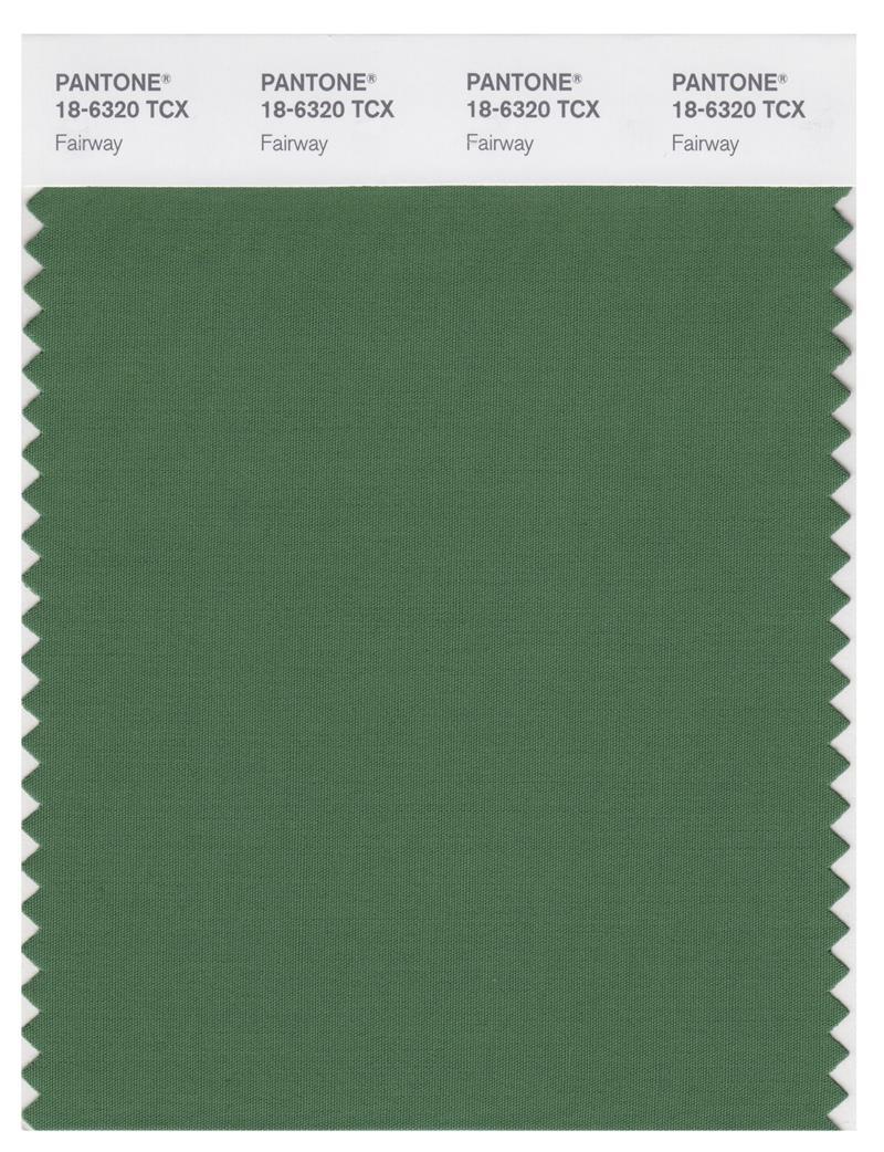Pantone Smart 18-6320 TCX Color Swatch Card | Fairway | Magazine