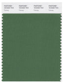 Pantone Smart 18-6320 TCX Color Swatch Card | Fairway