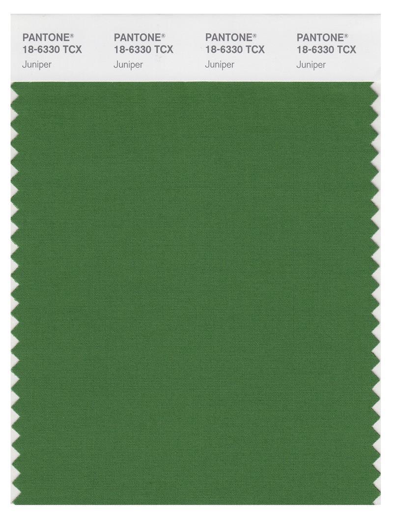 その他 PANTONE for fashion and  COLOR CARD Pantone Smart 18-6330 TCX Color Swatch Card | Juniper | Magazine