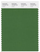 Pantone Smart 18-6330 TCX Color Swatch Card | Juniper