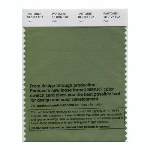 Pantone Smart 18-0107 TCX Color Swatch Card | Kale