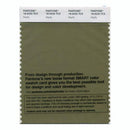 Pantone Smart 18-0220 TCX Color Swatch Card | Mayfly