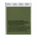 Pantone Smart 18-0330 TCX Color Swatch Card | Twist of Lime
