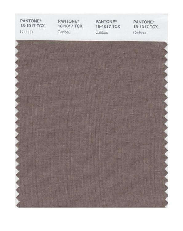 Pantone Smart 18-1017 TCX Color Swatch Card | Caribou