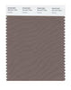 Pantone Smart 18-1017 TCX Color Swatch Card | Caribou
