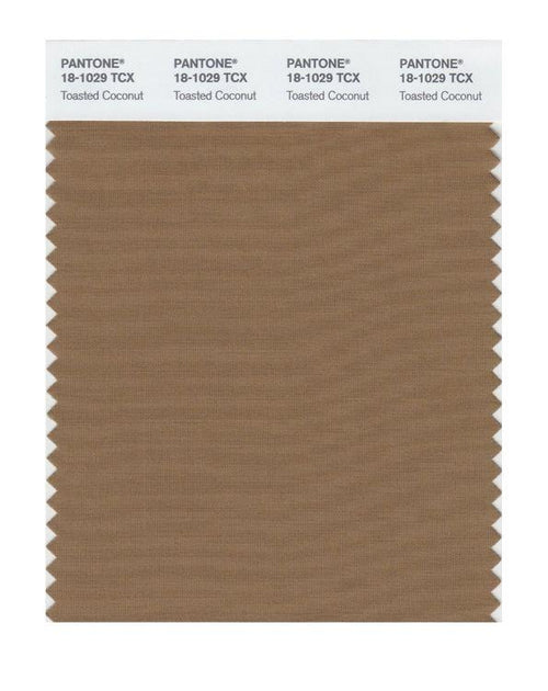 Pantone Smart 18-1029 TCX Color Swatch Card | Toasted Coconut