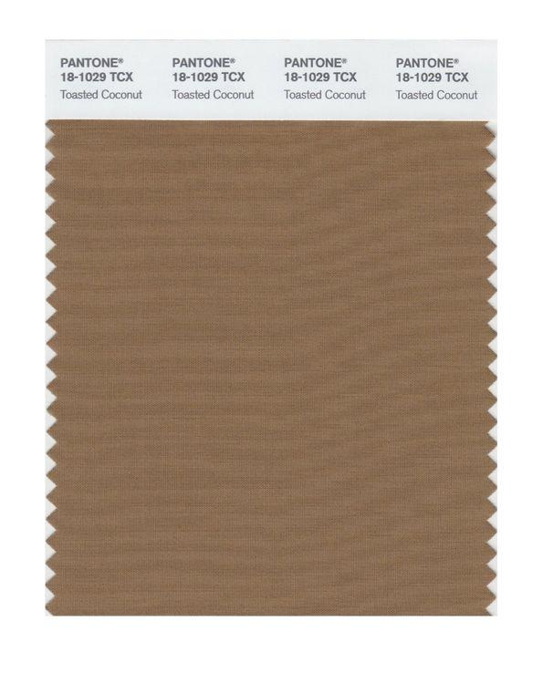 Pantone Smart 18-1029 TCX Color Swatch Card | Toasted Coconut