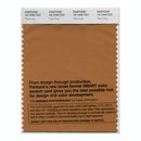 Pantone Smart 18-1049 TCX Color Swatch Card | Thai Curry