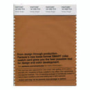 Pantone Smart 18-1050 TCX Color Swatch Card | Honey Ginger