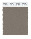Pantone Smart 18-1108 TCX Color Swatch Card | Fallen Rock