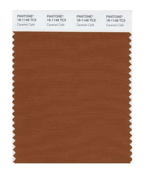色様 Pantone Smart 18-1148 TCX Color Swatch Card | Caramel Café