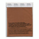 Pantone Smart 18-1155 TCX Color Swatch Card | Sugar Almond