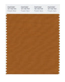 Pantone Smart 18-1163 TCX Color Swatch Card | Pumpkin Spice