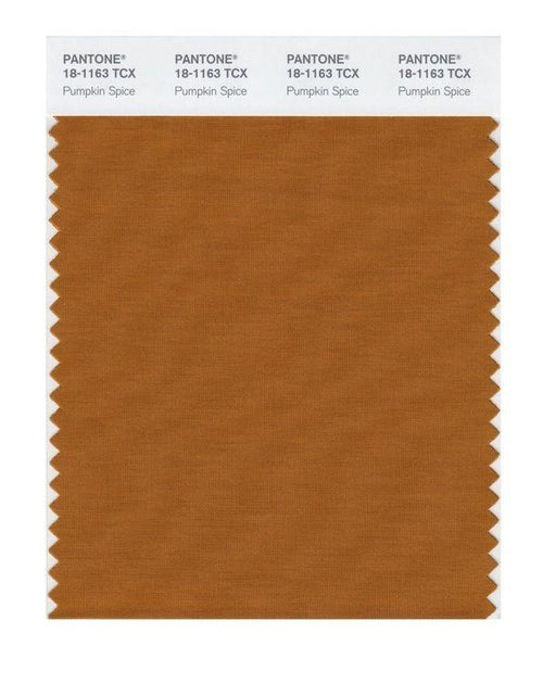Pantone Smart 18-1163 TCX Color Swatch Card | Pumpkin Spice
