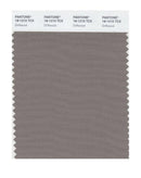 Pantone Smart 18-1210 TCX Color Swatch Card | Driftwood