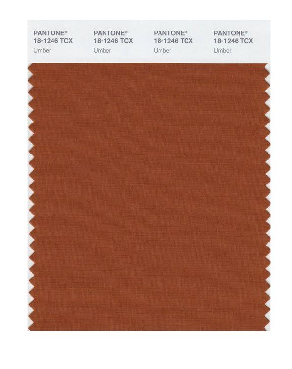 Pantone Smart 18-1246 TCX Color Swatch Card | Umber | Magazine