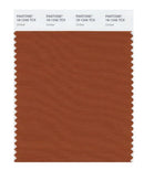 Pantone Smart 18-1246 TCX Color Swatch Card | Umber