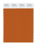 Pantone Smart 18-1249 TCX Color Swatch Card | Hawaiian Sunset