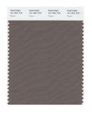 Pantone Smart 18-1304 TCX Color Swatch Card | Falcon