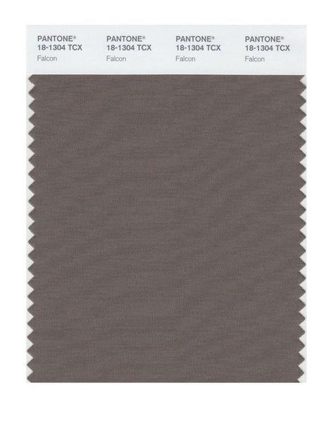 Pantone Smart 18-1304 TCX Color Swatch Card | Falcon | Magazine