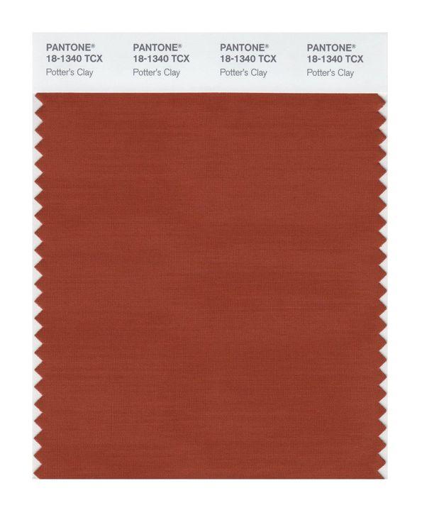 Pantone Smart 18-1340 TCX Color Swatch Card | Potter's Clay