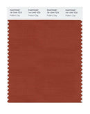 Pantone Smart 18-1340 TCX Color Swatch Card | Potter's Clay