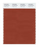 Pantone Smart 18-1340 TCX Color Swatch Card | Potter's Clay