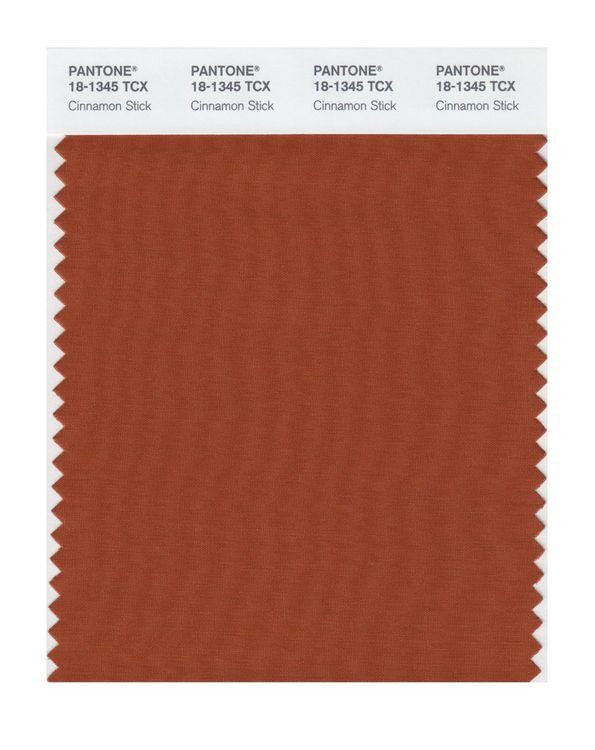 Pantone Smart 18-1345 TCX Color Swatch Card | Cinnamon Stick