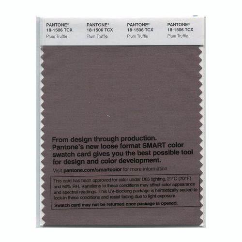 Pantone Smart 18-1506 TCX Color Swatch Card | Plum Truffle