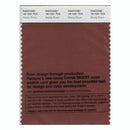 Pantone Smart 18-1541 TCX Color Swatch Card | Brandy Brown