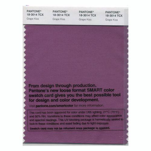 Pantone Smart 18-3014 TCX Color Swatch Card | Grape Kiss