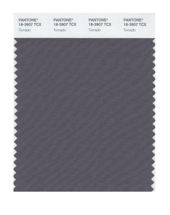 Pantone Smart 18-3907 TCX Color Swatch Card | Tornado