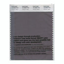Pantone Smart 18-3908 TCX Color Swatch Card | Volcanic Glass