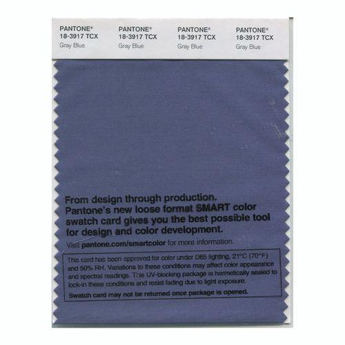 Pantone Smart 18-3917 TCX Color Swatch Card | Gray Blue