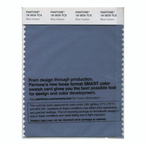 Pantone Smart 18-3929 TCX Color Swatch Card | Blue Horizon