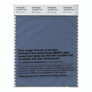 Pantone Smart 18-3929 TCX Color Swatch Card | Blue Horizon