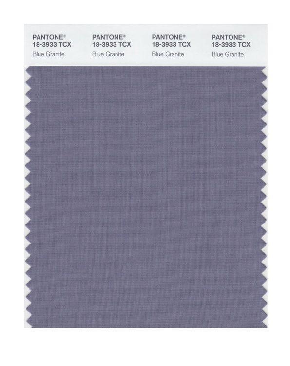 Pantone Smart 18-3933 TCX Color Swatch Card | Blue Granite