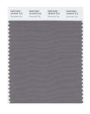 Pantone Smart 18-4016 TCX Color Swatch Card | December Sky