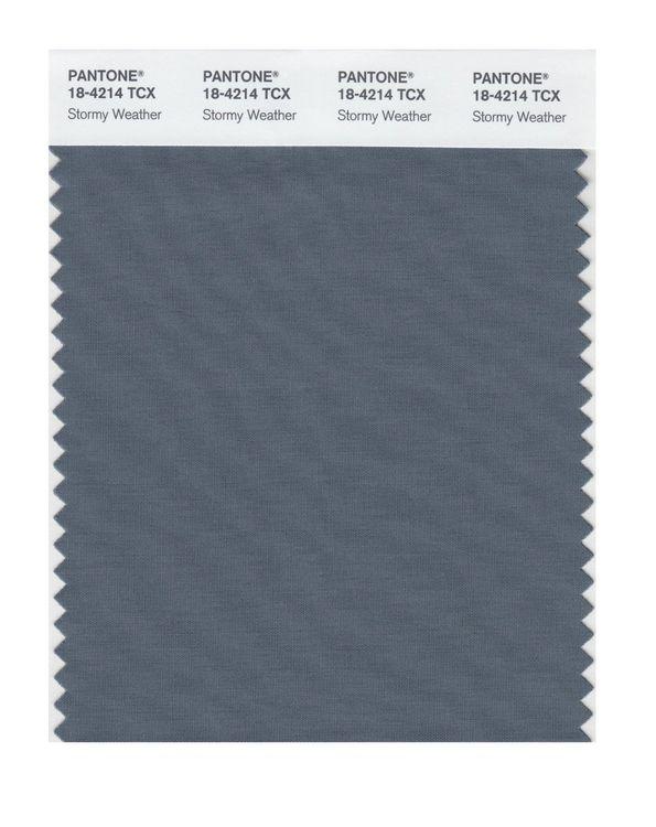 Pantone Smart 18-4214 TCX Color Swatch Card | Stormy Weather