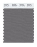 Pantone Smart 18-5102 TCX Color Swatch Card | Brushed Nickel