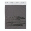 Pantone Smart 18-5204 TCX Color Swatch Card | Granite Gray