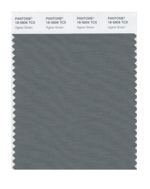 Pantone 18-5806 TCX Smart Color Swatch Card, Agave Green