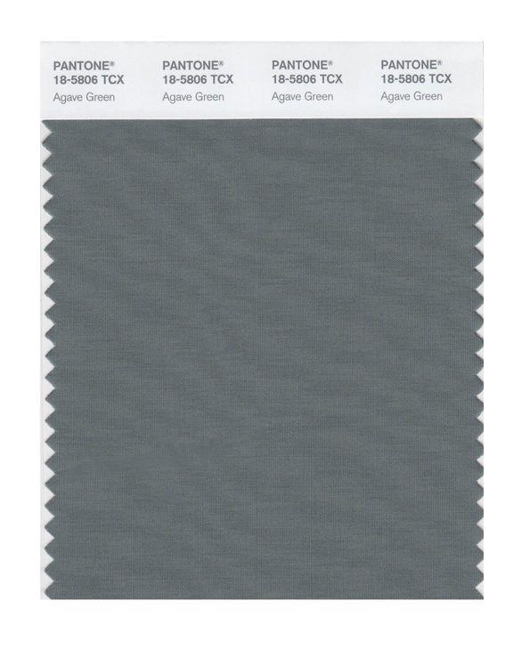 Pantone Smart 18-5806 TCX Color Swatch Card | Agave Green