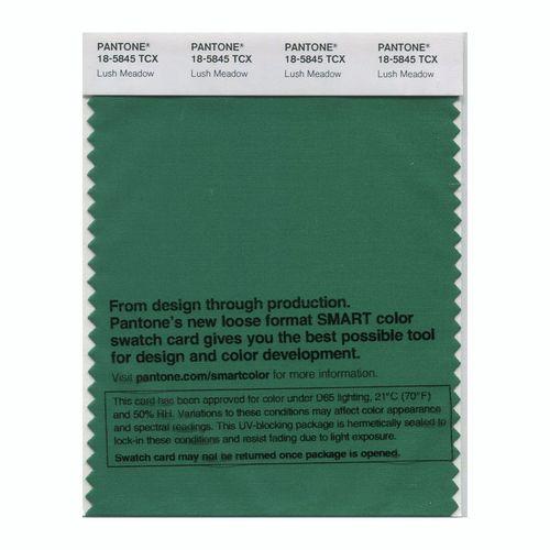 Pantone Smart 18-5845 TCX Color Swatch Card | Lush Meadow